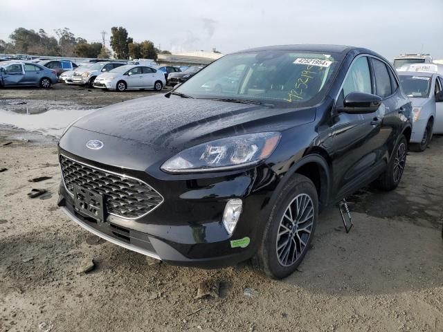 FORD ESCAPE SEL 2022 with VIN 1FMCU0KZ3NUB78624 - Photo from auction