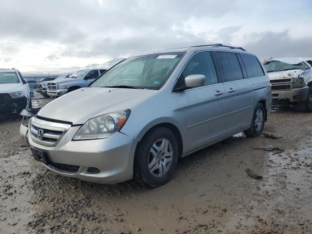 HONDA ODYSSEY EX 2007 with VIN 5FNRL38797B071291 - Photo from auction