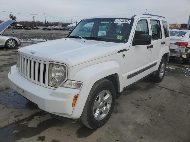 JEEP LIBERTY SP 2011 with VIN 1J4PN2GK0BW516906 - Photo from auction