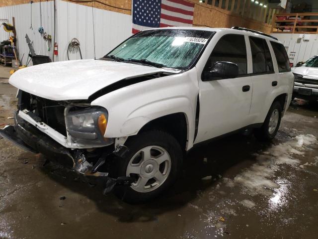 CHEVROLET TRAILBLAZE 2008 with VIN 1GNDT13S682231259 - Photo from auction