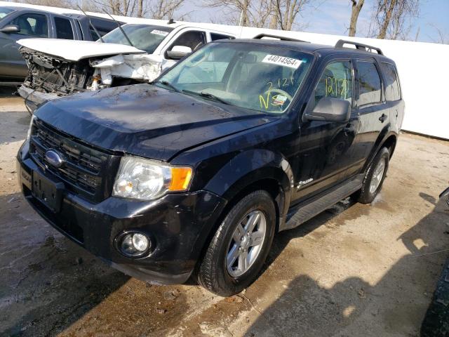 FORD ESCAPE HYB 2009 with VIN 1FMCU59329KB25669 - Photo from auction