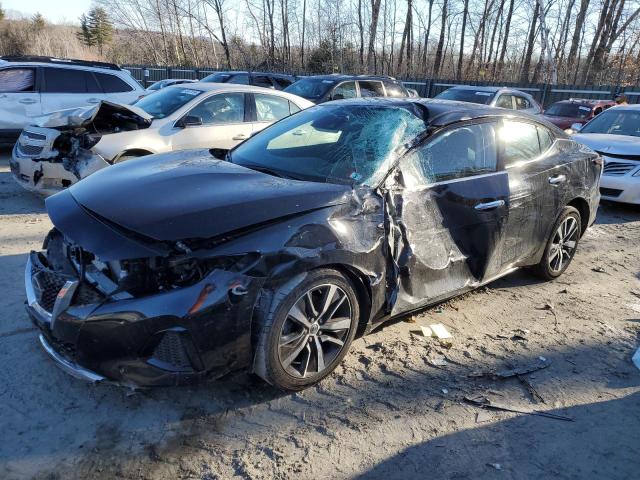 NISSAN MAXIMA SV 2020 with VIN 1N4AA6CV5LC384166 - Photo from auction