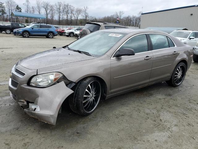 CHEVROLET MALIBU LS 2012 with VIN 1G1ZB5E08CF262205 - Photo from auction