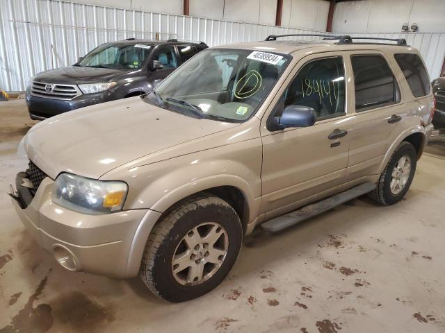 FORD ESCAPE XLT 2007 with VIN 1FMYU03167KA34529 - Photo from auction