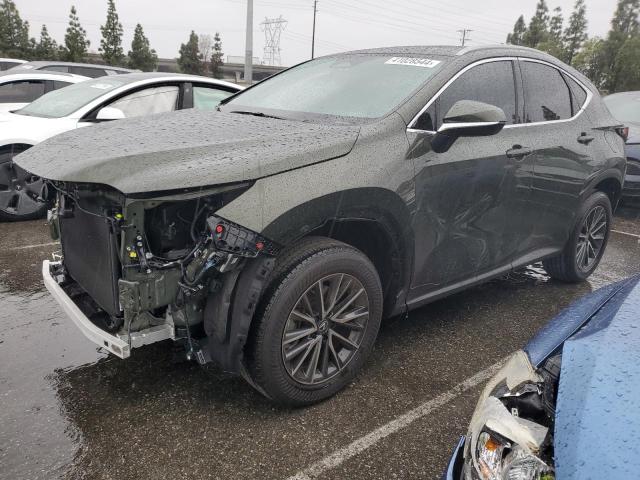 LEXUS NX 250 BAS 2024 with VIN 2T2ADCAZ2RC009885 - Photo from auction