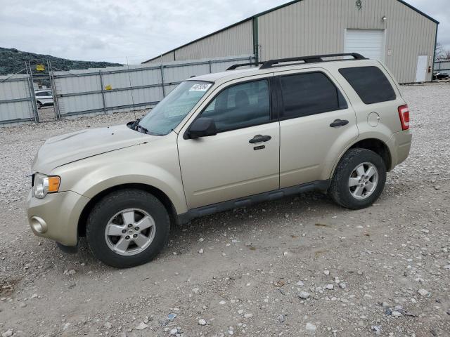 FORD ESCAPE XLT 2010 with VIN 1FMCU0D76AKD10454 - Photo from auction