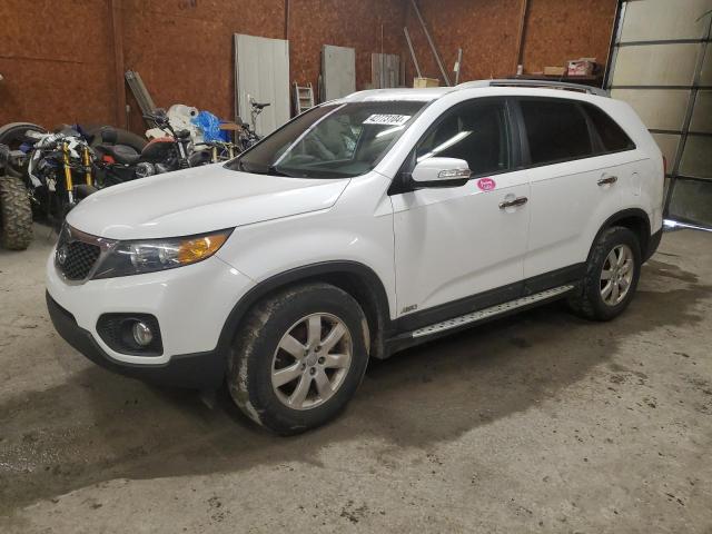 KIA SORENTO LX 2013 with VIN 5XYKTDA63DG331391 - Photo from auction
