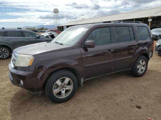 HONDA PILOT EXL 2009 with VIN 5FNYF38629B020292 - Photo from auction