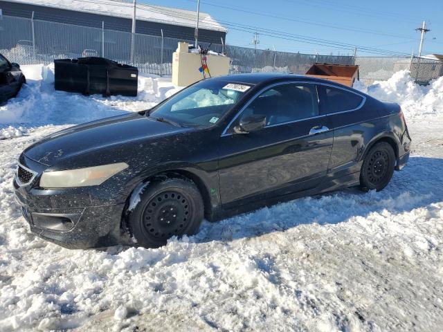 HONDA ACCORD EXL 2010 with VIN 1HGCS2B82AA800169 - Photo from auction