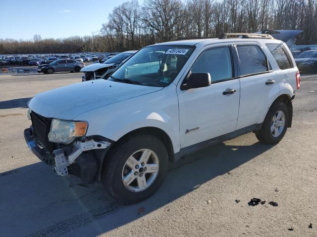 FORD ESCAPE HYB 2009 with VIN 1FMCU59399KA11894 - Photo from auction
