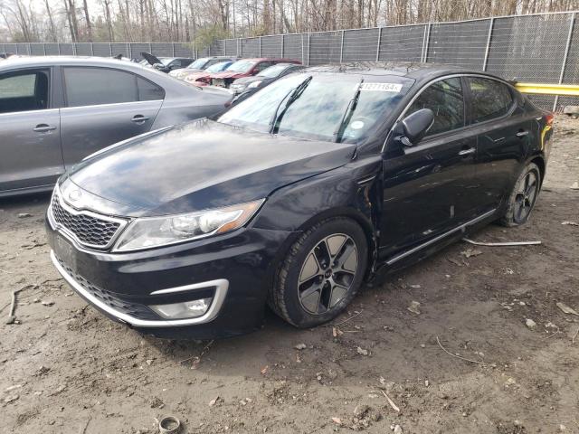KIA OPTIMA HYB 2012 with VIN KNAGM4AD3C5020775 - Photo from auction