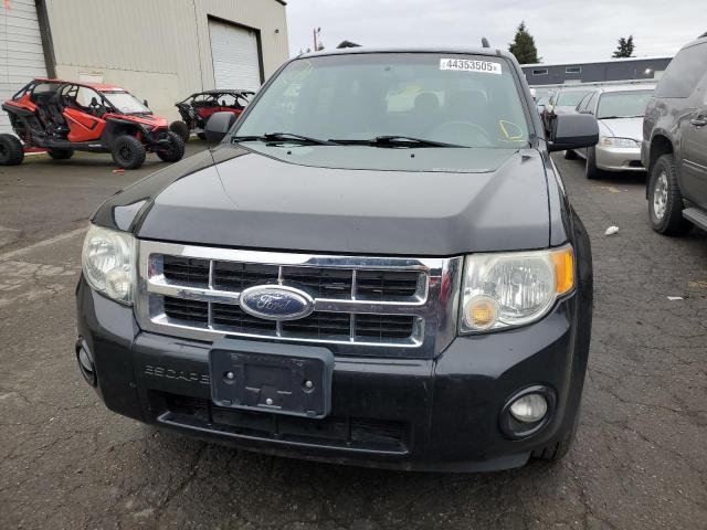 Photo 5 from auction – 2008 FORD ESCAPE XLT with VIN 1FMCU03Z28KB80122