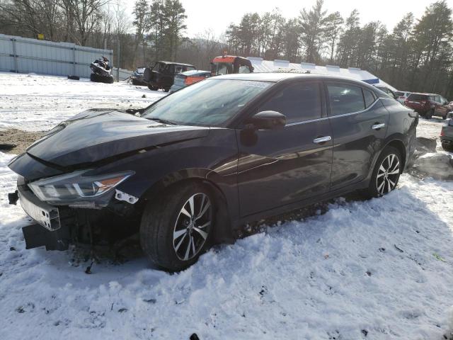 NISSAN MAXIMA 3.5 2017 with VIN 1N4AA6AP1HC439398 - Photo from auction