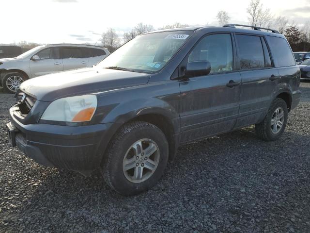 HONDA PILOT EXL 2005 with VIN 5FNYF186X5B050381 - Photo from auction