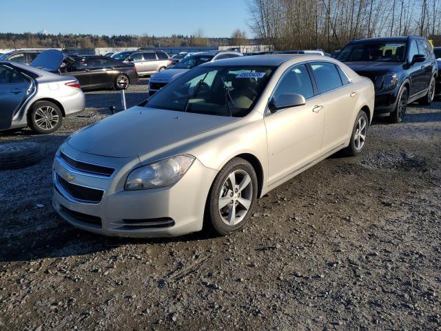 CHEVROLET MALIBU 1LT 2011 with VIN 1G1ZC5E16BF237775 - Photo from auction