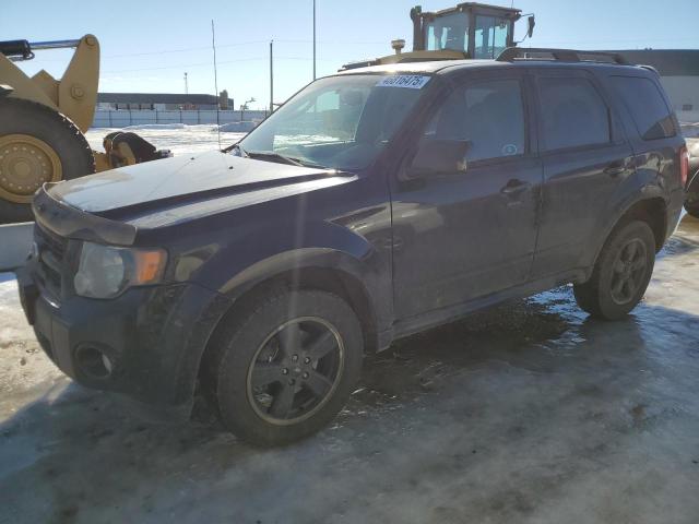 FORD ESCAPE XLT 2012 z numerem VIN 1FMCU0DG1CKB22900 - Zdjęcie z aukcji