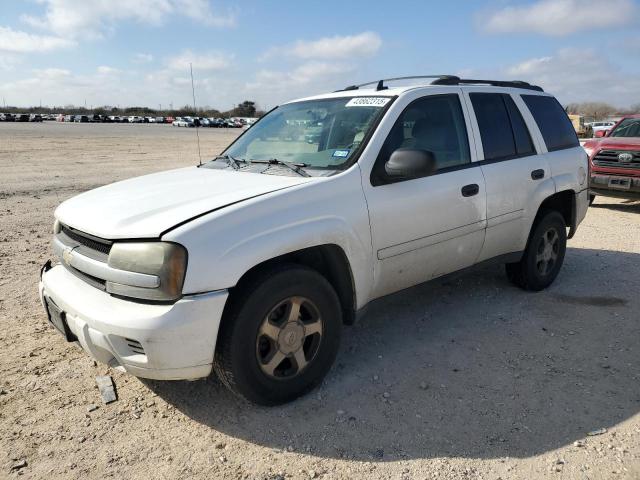 CHEVROLET TRAILBLAZE 2006 with VIN 1GNDS13S462255818 - Photo from auction