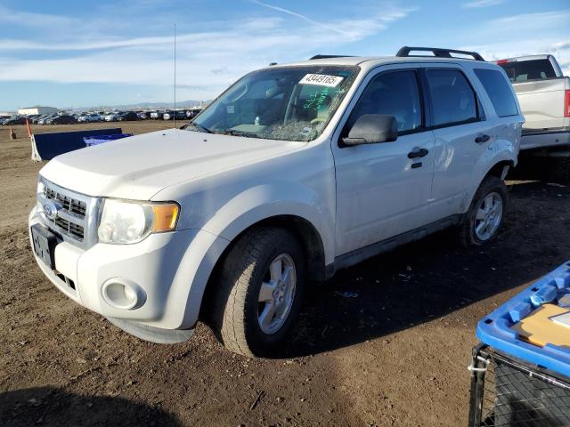 FORD ESCAPE XLT 2011 with VIN 1FMCU9DG7BKC39142 - Photo from auction