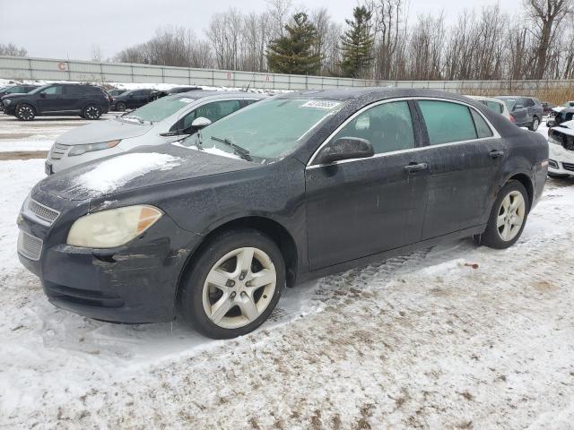 CHEVROLET MALIBU LS 2010 with VIN 1G1ZB5EB3AF240336 - Photo from auction