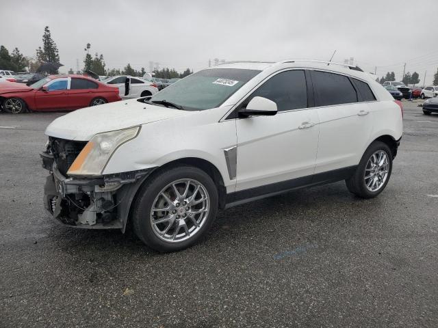 CADILLAC SRX PERFOR 2013 with VIN 3GYFNDE35DS638808 - Photo from auction