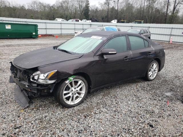 NISSAN MAXIMA S 2011 with VIN 1N4AA5AP8BC855952 - Photo from auction