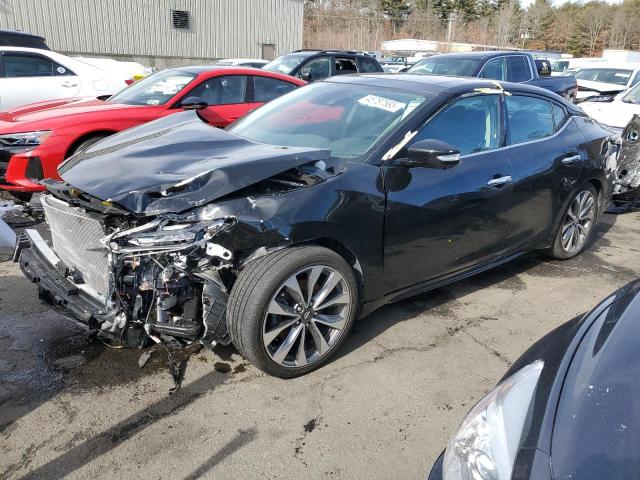 NISSAN MAXIMA PLA 2023 with VIN 1N4AA6FV2PC505995 - Photo from auction