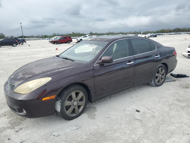 LEXUS ES 330 2005 with VIN JTHBA30G555139134 - Photo from auction