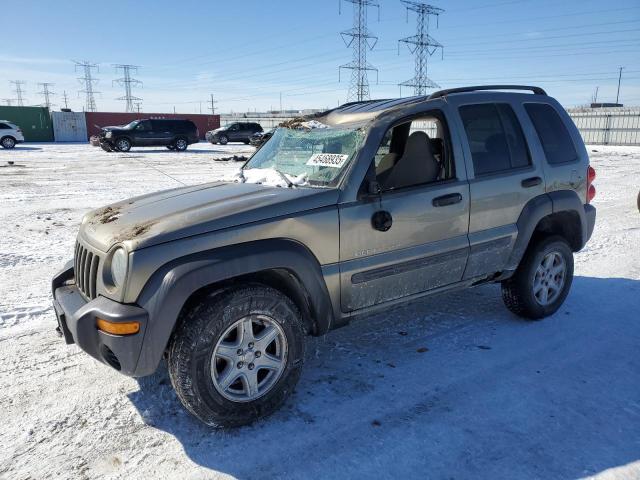 JEEP LIBERTY SP 2003 with VIN 1J4GL48K83W723996 - Photo from auction