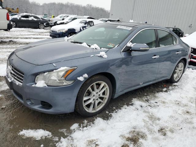 NISSAN MAXIMA S 2010 with VIN 1N4AA5AP6AC829459 - Photo from auction
