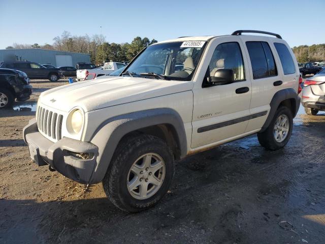 JEEP LIBERTY SP 2002 with VIN 1J4GL48KX2W232358 - Photo from auction