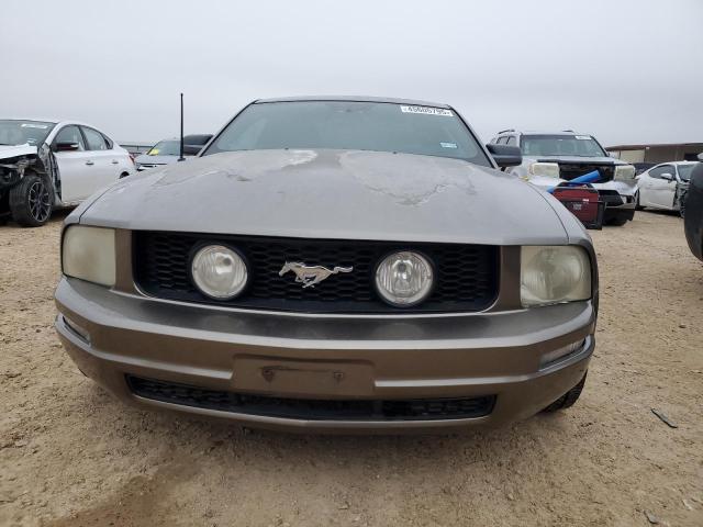 Photo 5 from auction – 2005 FORD MUSTANG with VIN 1ZVFT80N255124435