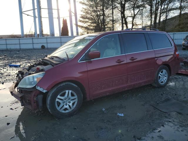 HONDA ODYSSEY EX 2005 with VIN 5FNRL38775B013452 - Photo from auction