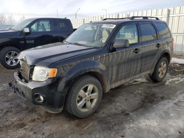 FORD ESCAPE XLT 2010 with VIN 1FMCU9DG7AKC80773 - Photo from auction