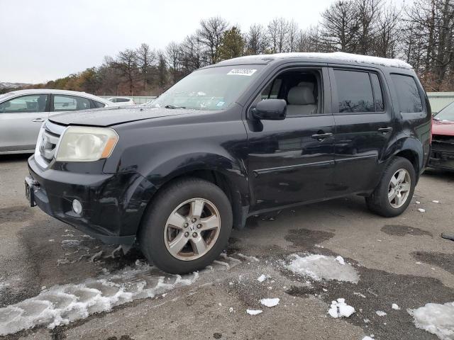 HONDA PILOT EXL 2011 with VIN 5FNYF4H6XBB071020 - Photo from auction