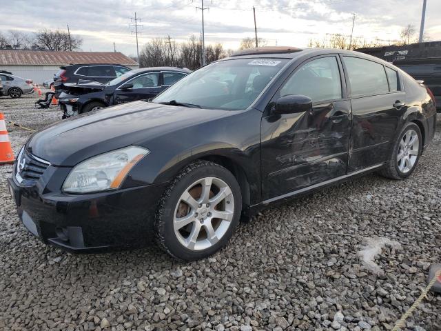 NISSAN MAXIMA SE 2008 with VIN 1N4BA41E38C838160 - Photo from auction