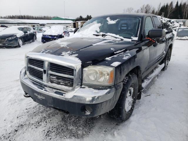 DODGE DAKOTA QUA 2005 with VIN 1D7HW48N45S327415 - Photo from auction