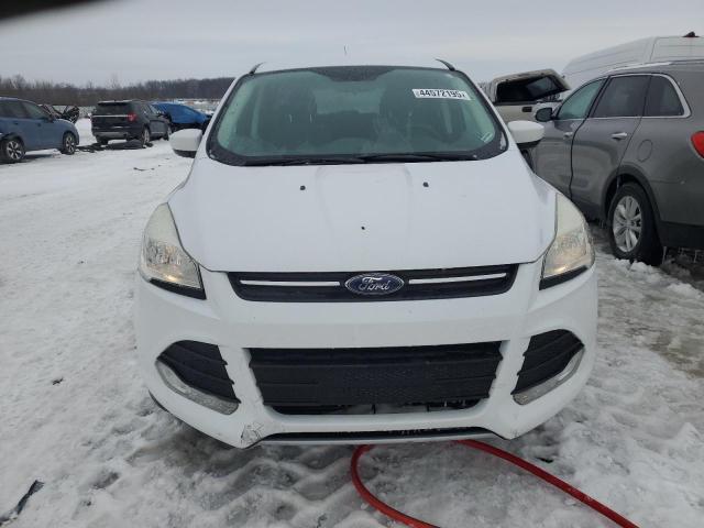 Photo 5 from auction – 2014 FORD ESCAPE SE with VIN 1FMCU0G92EUB82477