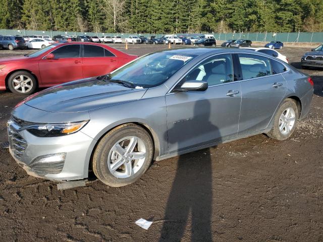 CHEVROLET MALIBU LS 2024 with VIN 1G1ZB5ST9RF134837 - Photo from auction
