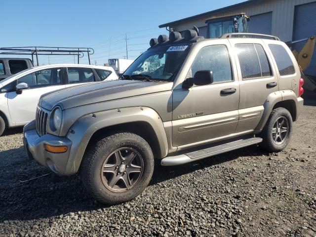 JEEP LIBERTY RE 2002 with VIN 1J4GL38K62W367007 - Photo from auction