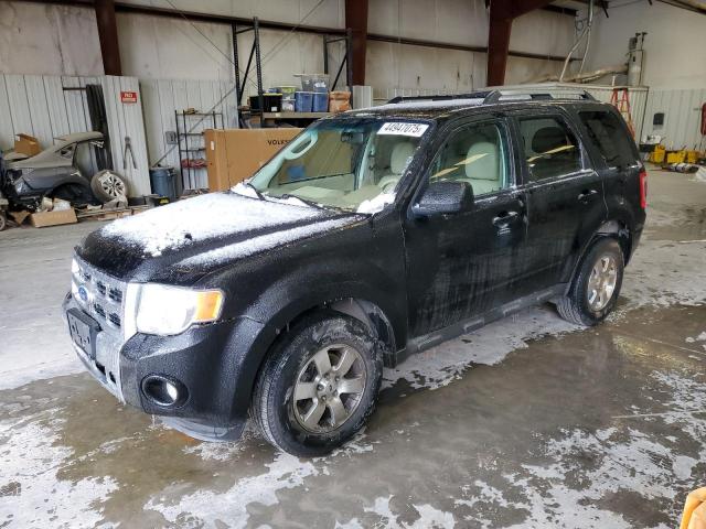 FORD ESCAPE 2010 مع رقم تعريف المركبة 1FMCU0EG0AKC24085 - صورة من المزاد