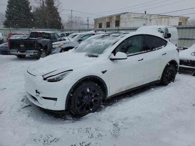 TESLA MODEL Y 2023 с VIN 7SAYGDEE2PF832349 - Снимка от търг