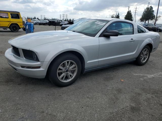 Photo 1 from auction – 2005 FORD MUSTANG with VIN 1ZVFT80N955254292