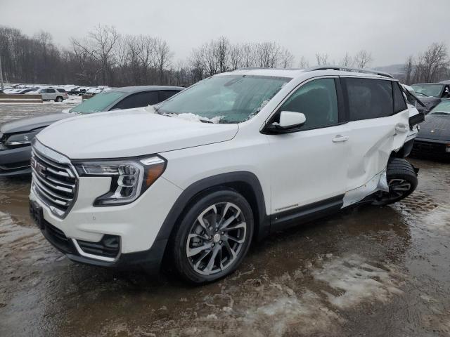 GMC TERRAIN SL 2022 with VIN 3GKALVEV1NL306328 - Photo from auction