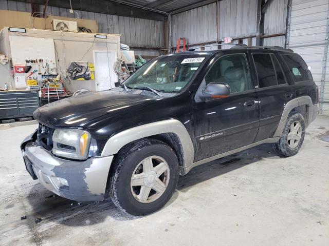 CHEVROLET TRAILBLAZE 2003 with VIN 1GNDT13S332226187 - Photo from auction