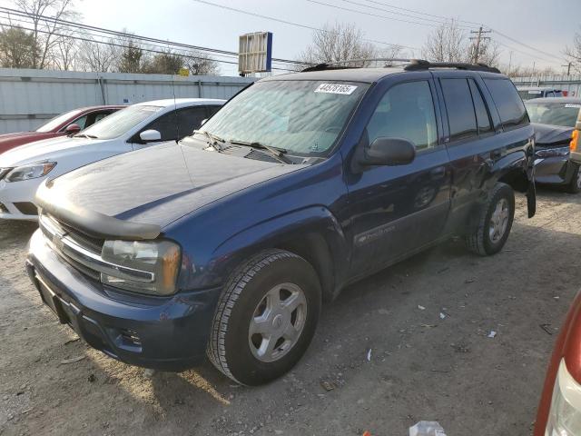 CHEVROLET TRAILBLAZE 2003 with VIN 1GNDT13S632393904 - Photo from auction