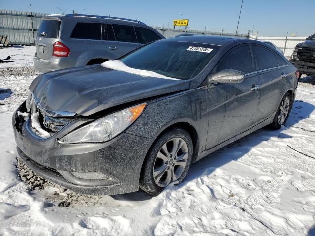 HYUNDAI SONATA SE 2013 with VIN 5NPEC4AC9DH613806 - Photo from auction