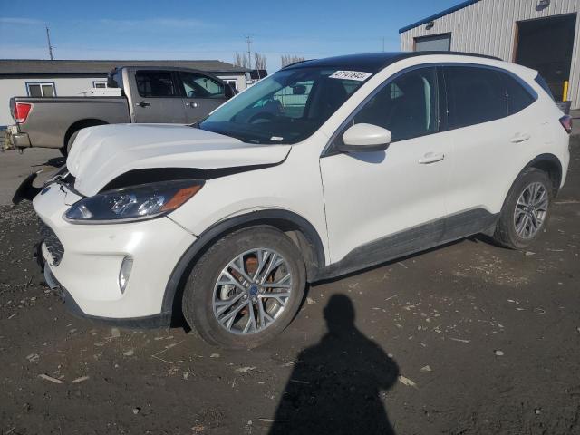 FORD ESCAPE SEL 2022 with VIN 1FMCU9H95NUB02141 - Photo from auction