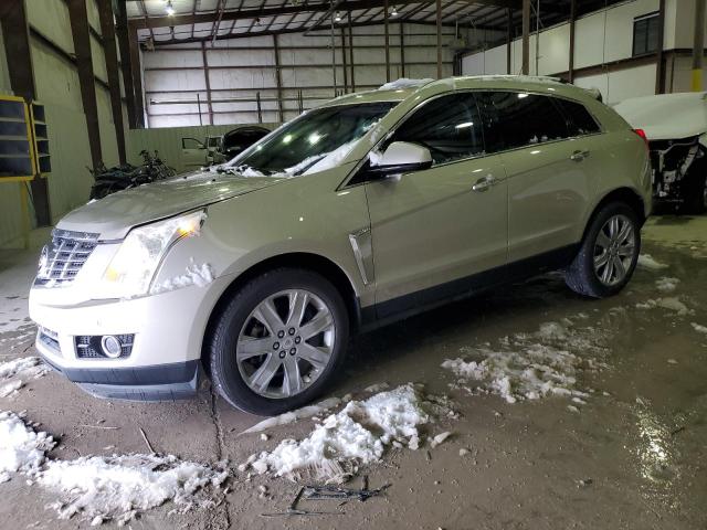 CADILLAC SRX PERFOR 2016 with VIN 3GYFNCE35GS548413 - Photo from auction