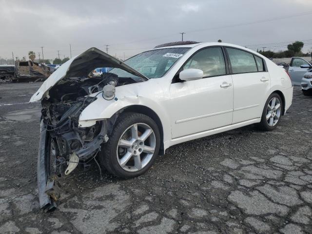 NISSAN MAXIMA SE 2008 with VIN 1N4BA41E18C822829 - Photo from auction