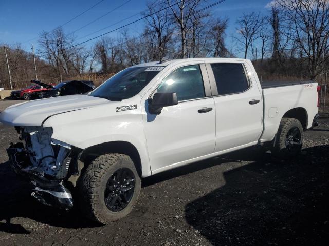 CHEVROLET SILVERADO 2023 with VIN 3GCUDCED4PG221996 - Photo from auction